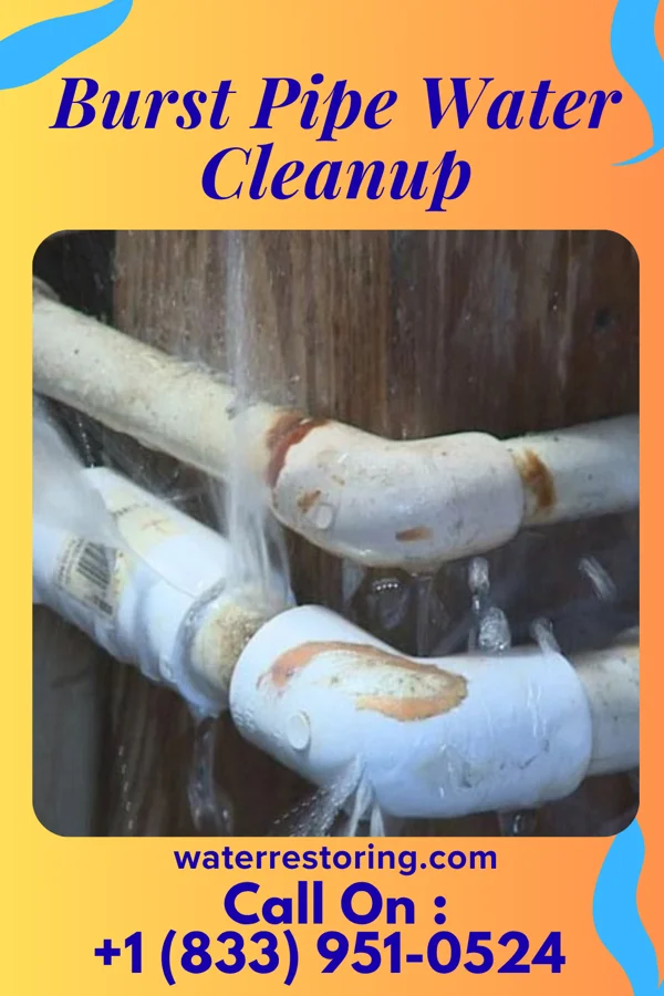 Burst Pipe Water Cleanup in Volant, PA