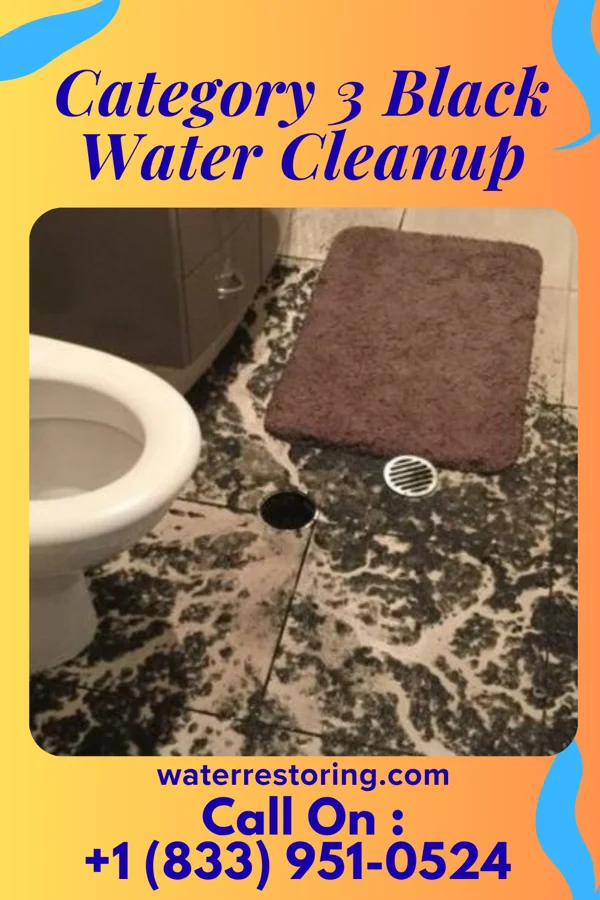 Category 3 Black Water Cleanup in Volant, PA