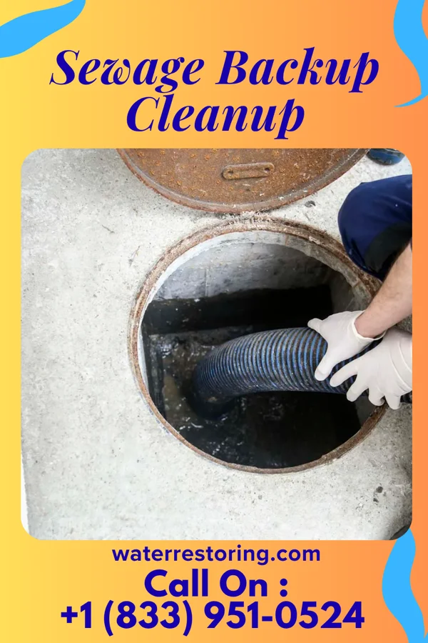 Sewage Backup Cleanup in Volant, PA