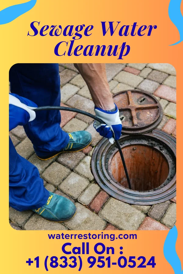 Sewage Water Cleanup in Volant, PA