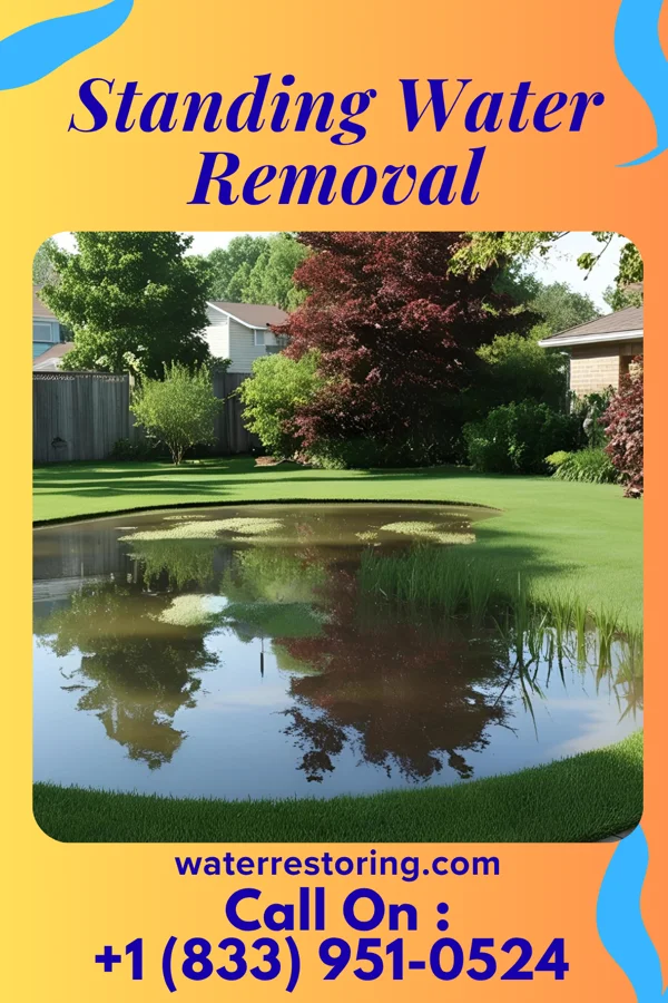 Standing Water Removal in Volant, PA